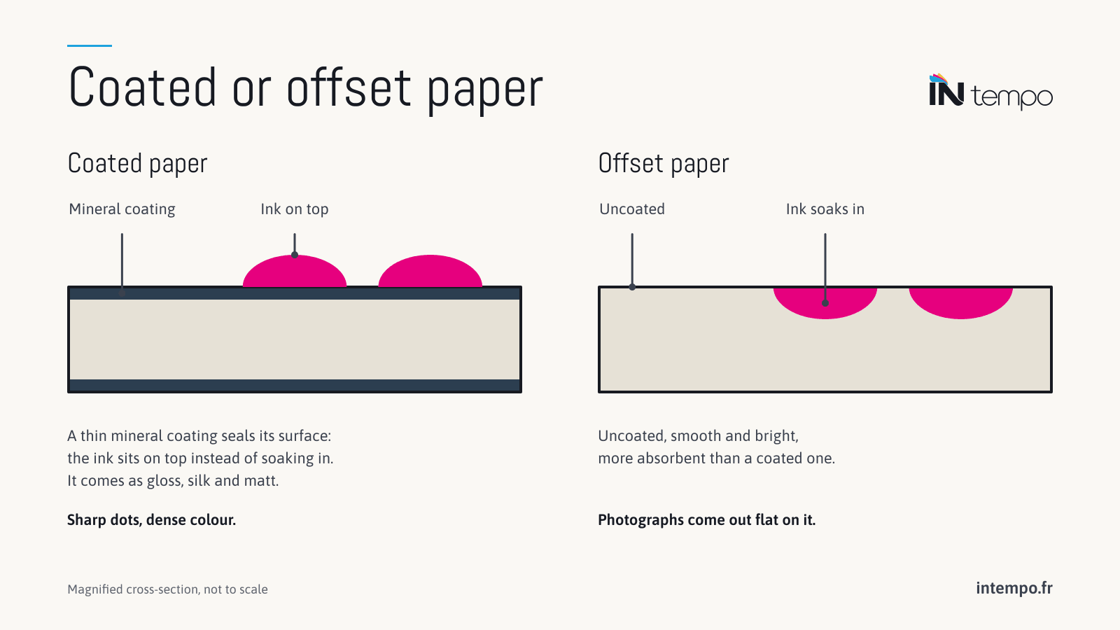 Cross-section diagram of two papers: coated paper, sealed by a thin mineral coating that keeps the ink on top; offset paper, uncoated and more absorbent, where the ink soaks in.