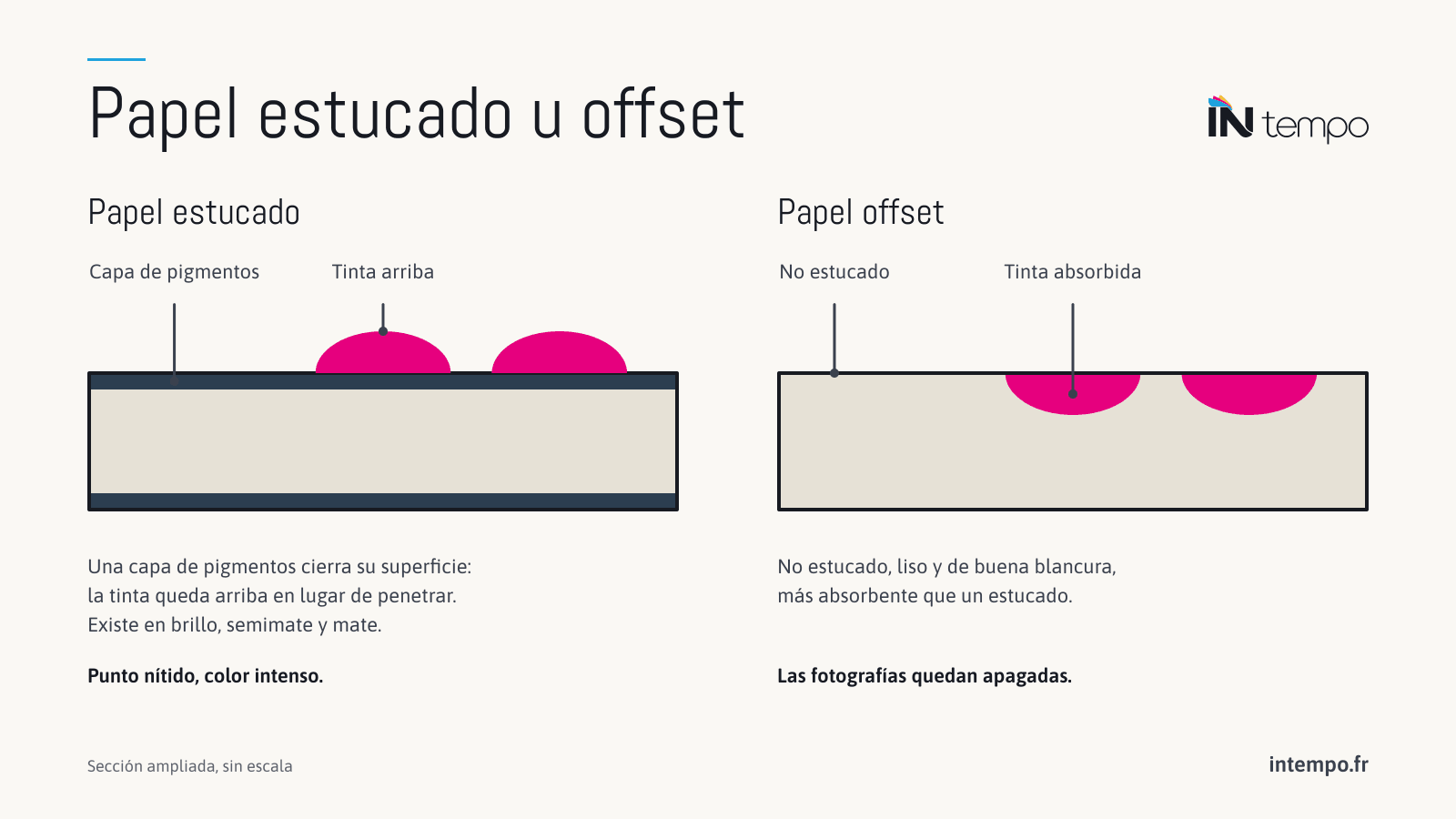Esquema en sección de dos papeles: el papel estucado, con una capa de pigmentos que deja la tinta arriba; el papel offset, no estucado y más absorbente, donde la tinta penetra.