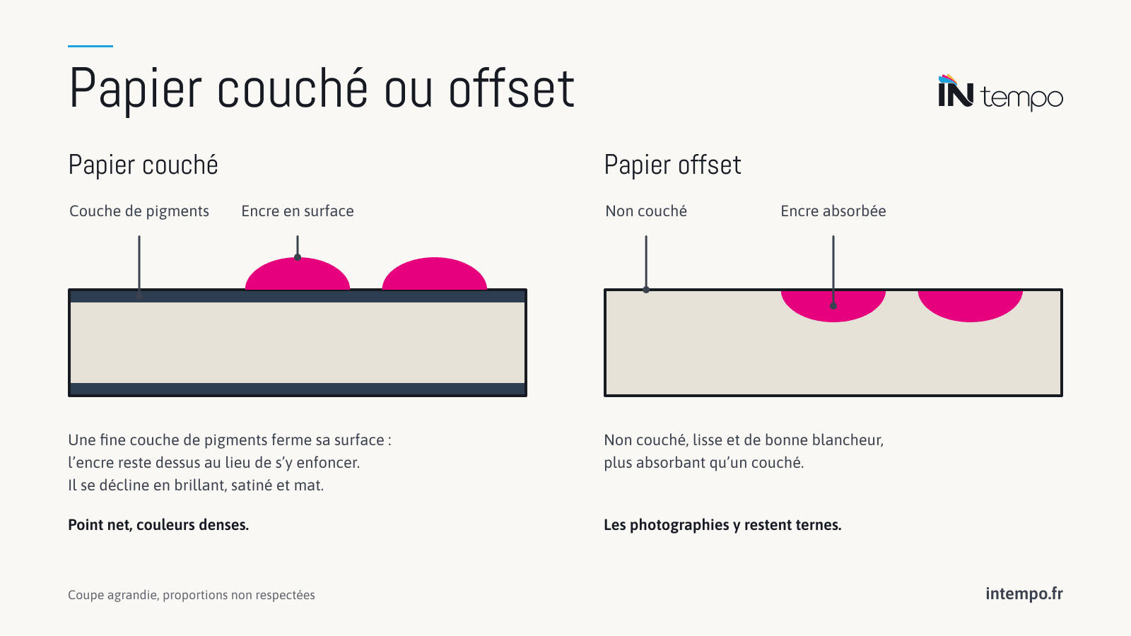 Schéma en coupe de deux papiers : le papier couché, recouvert d’une fine couche de pigments qui garde l’encre en surface ; le papier offset, non couché et plus absorbant, où l’encre pénètre.